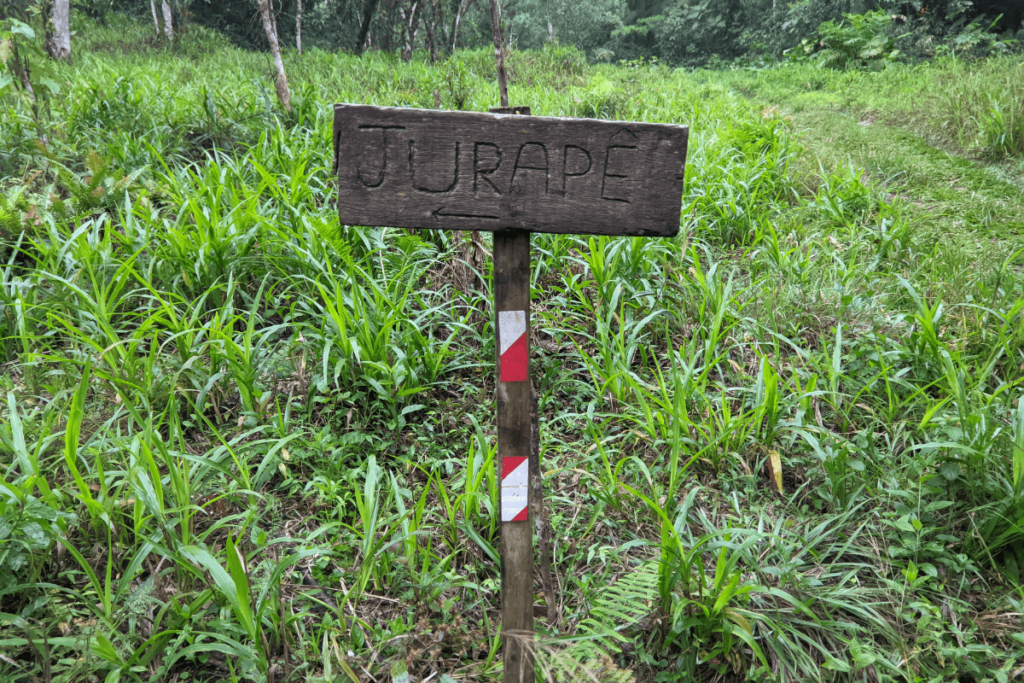 Inicio da Trilho do Pico Jurapê