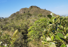clareira cume trilha monte crista