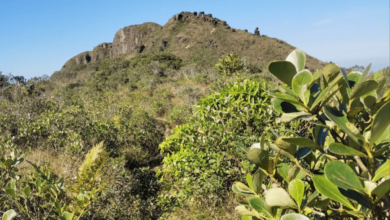 clareira cume trilha monte crista