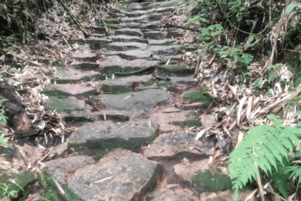 escadaria trilha monte crista
