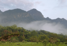 Desbravando o Pico Jurapê
