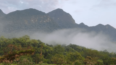 Desbravando o Pico Jurapê
