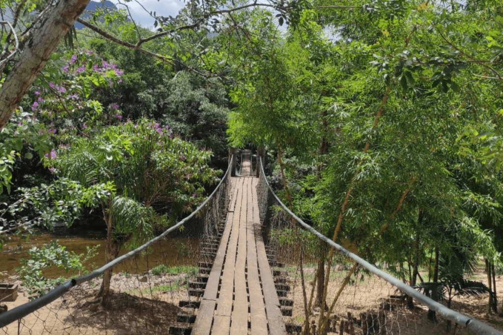 ponte trilha monte crista