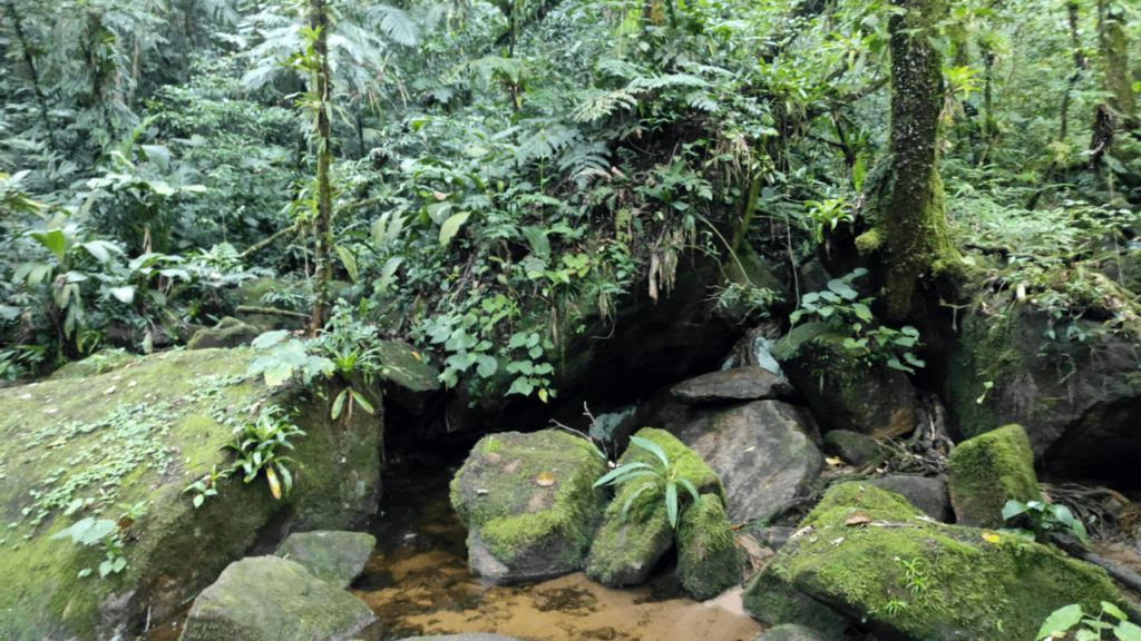 ponto de água trilha monte crista