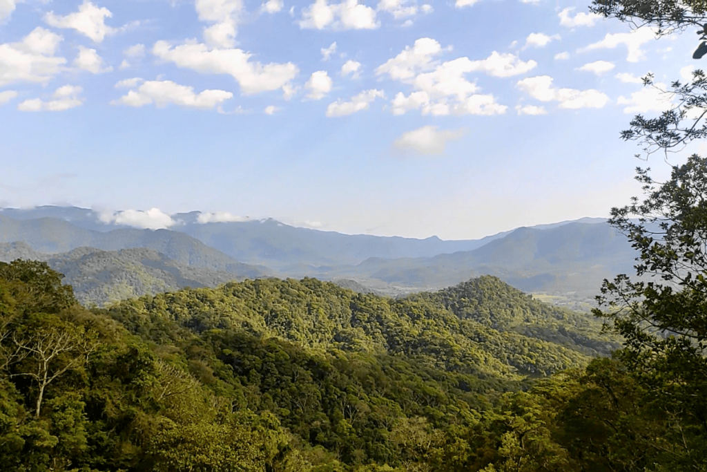 clareira morro da tromba