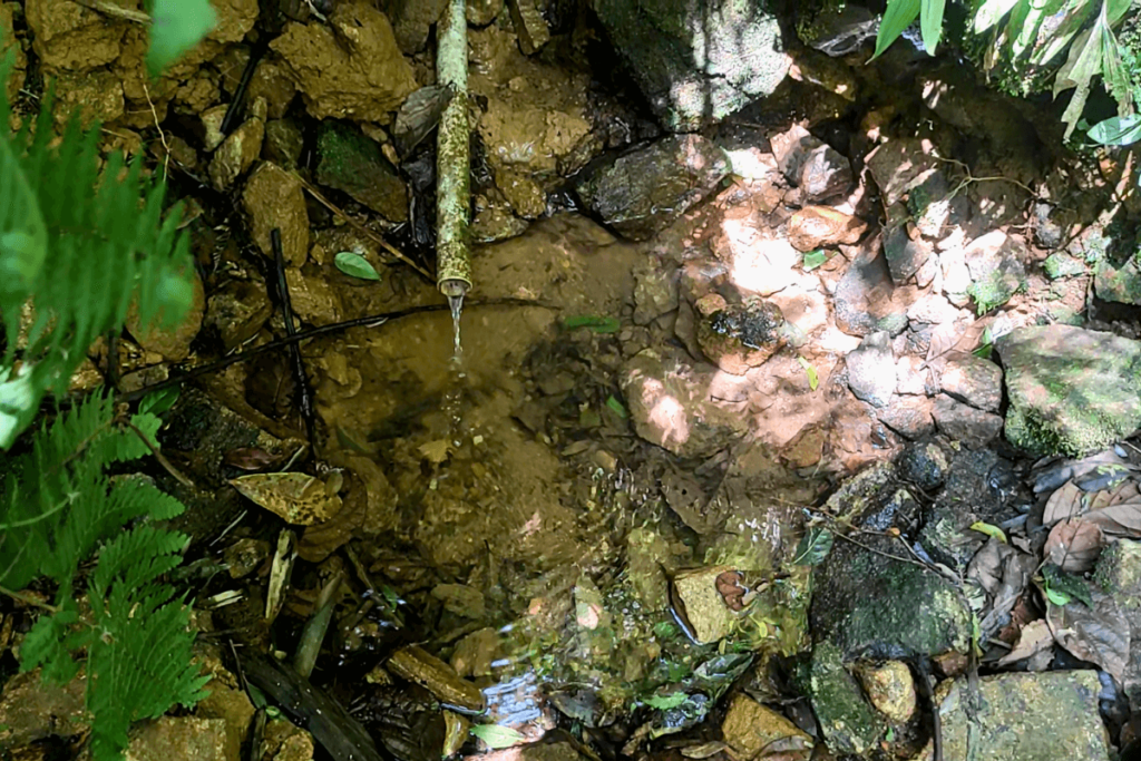 fonte de água na trilha do morro da tromba