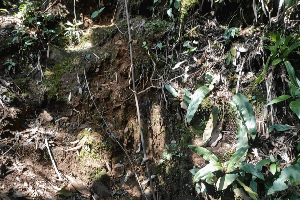 ponto de corda no morro da tromba