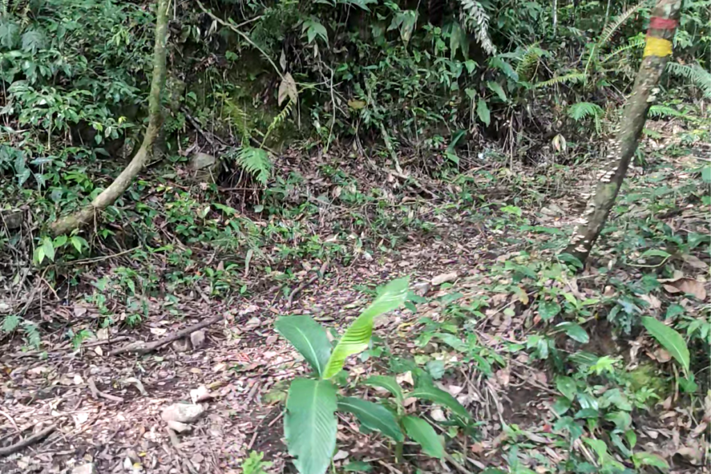 sinalização no morro da tromba