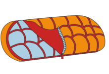 SACO DE DORMIR