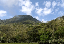 foto morro da tromba em joinville