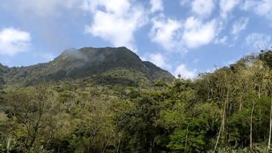 foto morro da tromba em joinville