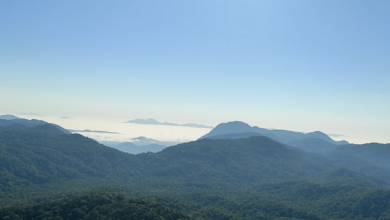 vista no castelo dos bugres